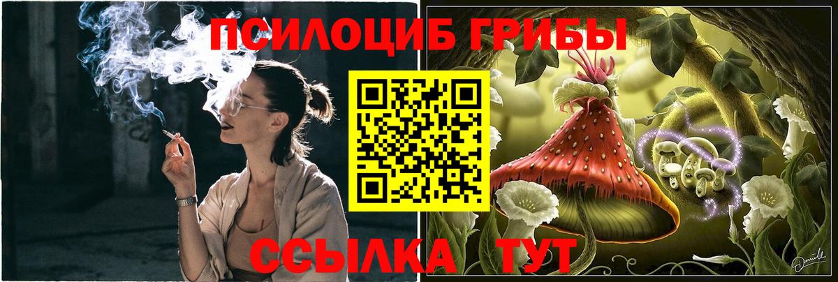 Псилоцибиновые грибы мицелий Рыбинск