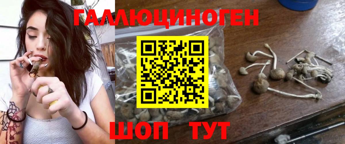 Рыбинск  Галлюциногенные грибы мухоморы  Галлюциногенные грибы Magic Shrooms  Вход с VPN 